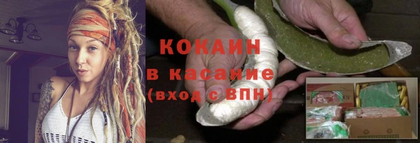 apvp Верея