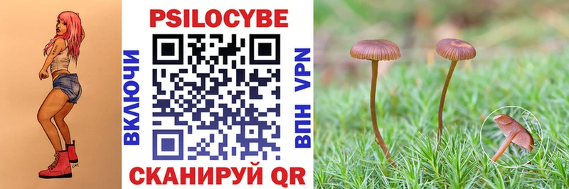 Купить где  Геленджик  Галлюциногенные грибы прущие грибы 